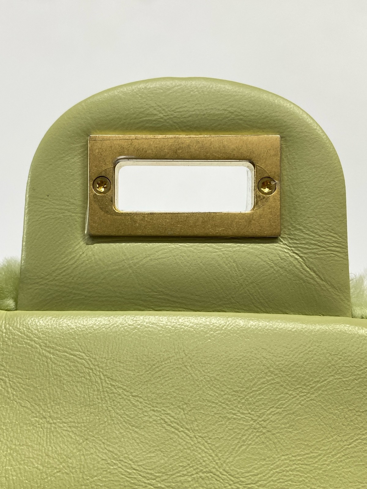 Chanel Vertical 2.55 Mini Camera Bag Green Shearling Gold Hardware 30 Series EUC