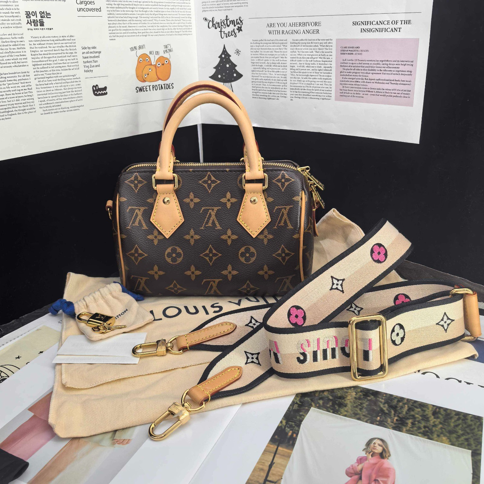 Louis Vuitton Speedy 20, Chip Version, （20.5×12×13.5） cm