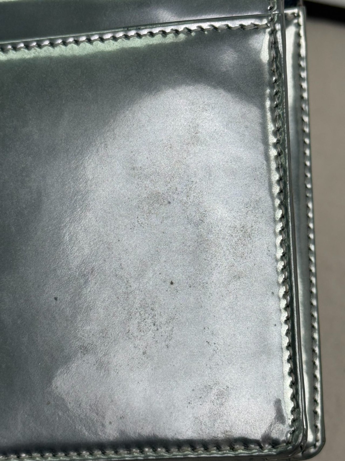 DIOR Diorama Shield Bag WOC Crossbody Bag