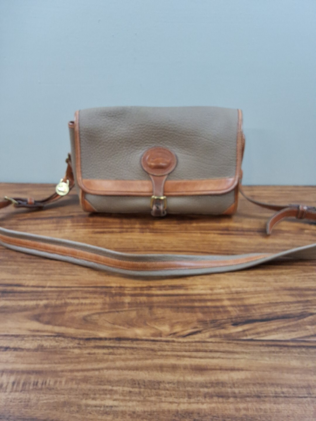 Dooney & Bourke Green Brown Purse Handbag Tote All Weather Leather USA See Photo