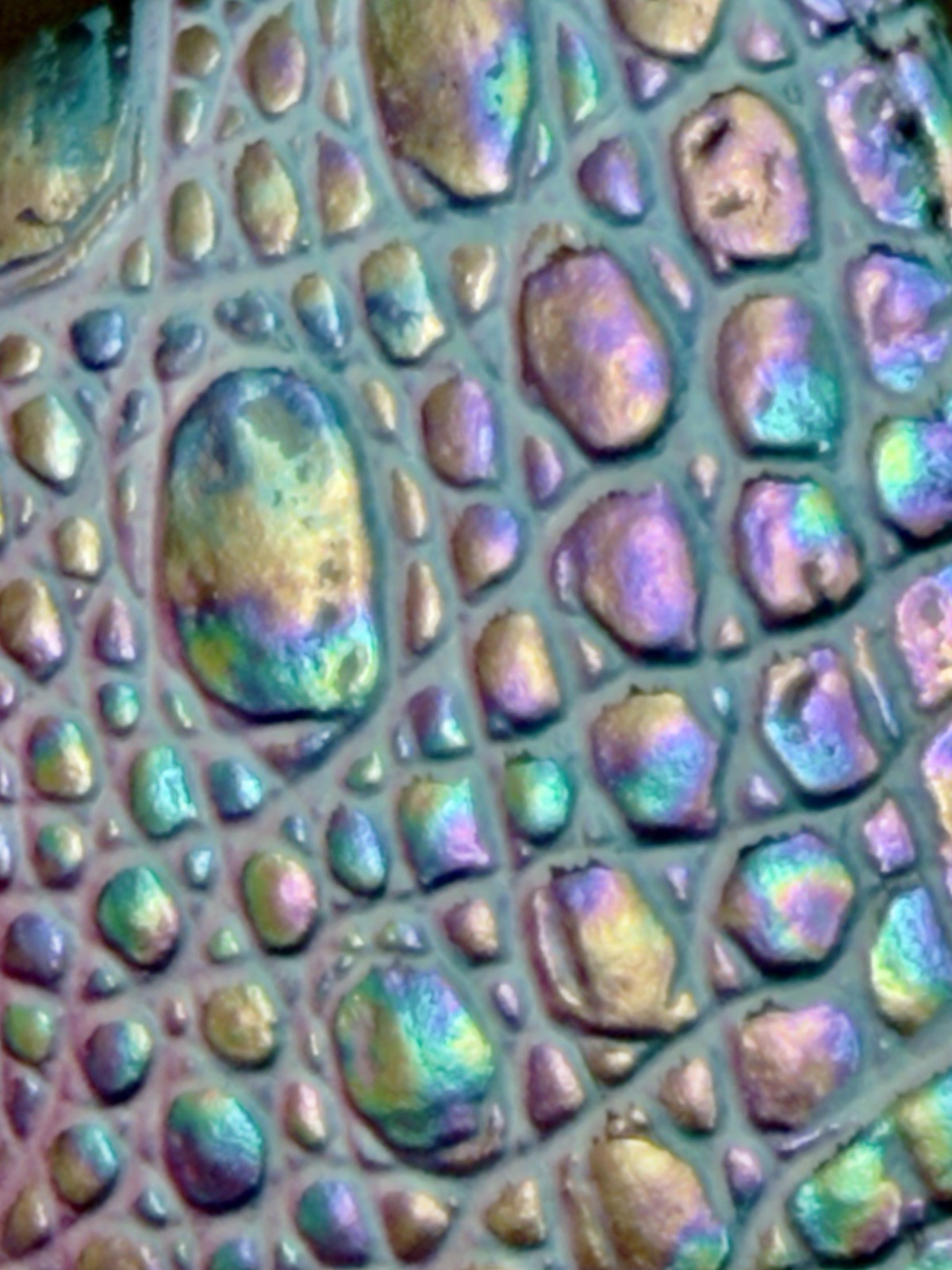💜🩷🩵 Brahmin VISIONARY DELPHINE, Highly Iridescent Katie, EUC Fabulous!!