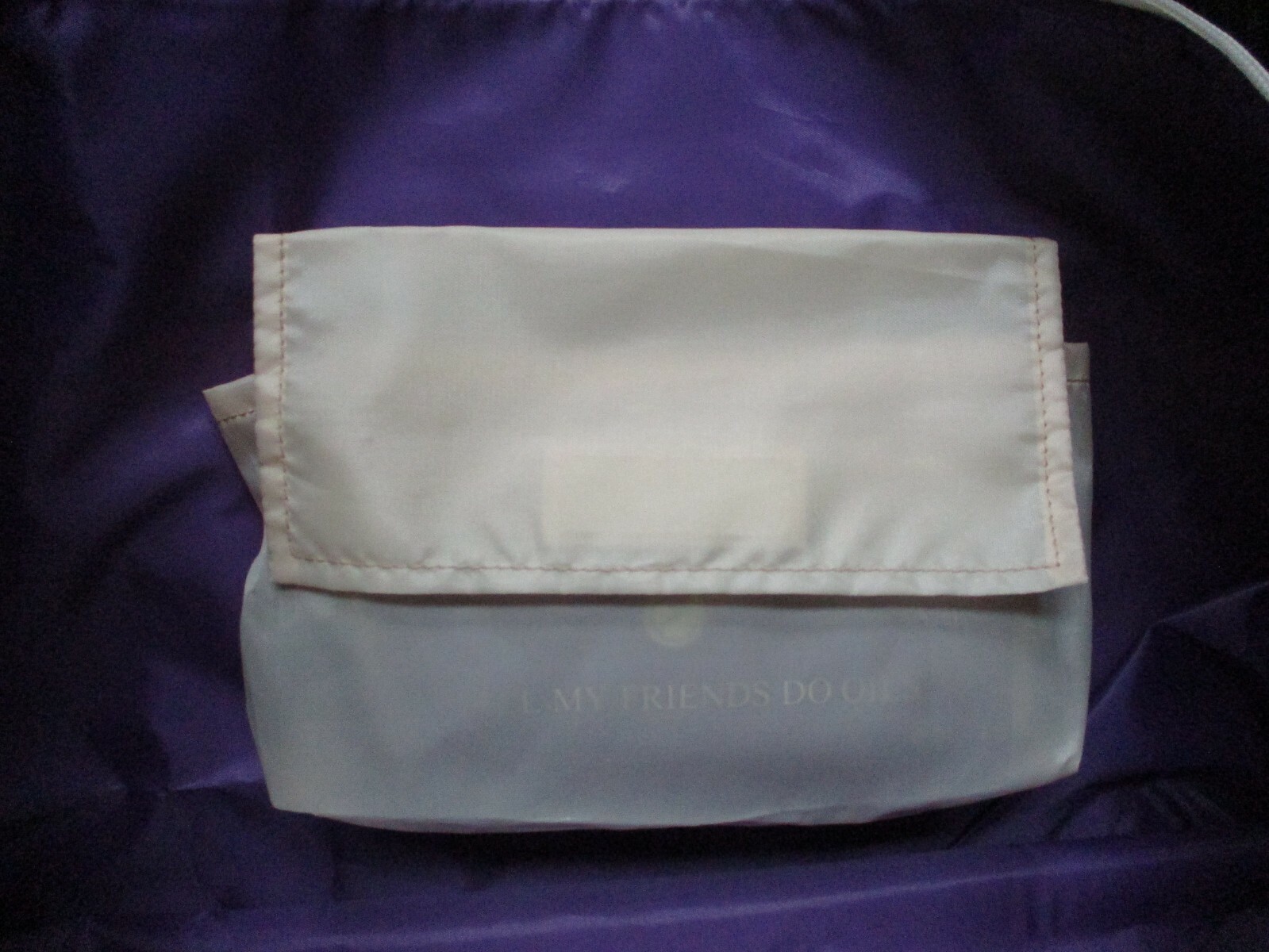 Young Living Essential Oils Large Tote Bag plus Mini Bag ~ Never Used