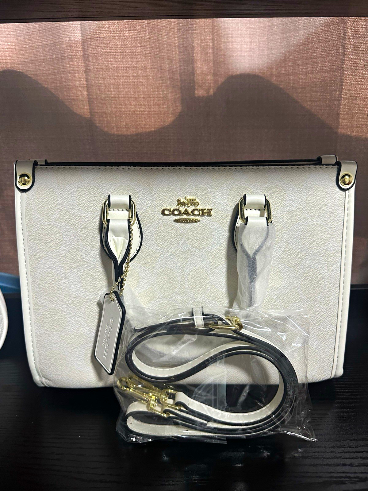 Coach Signature Logo Small Satchel Zip Detachable Strap Light Blue/White
