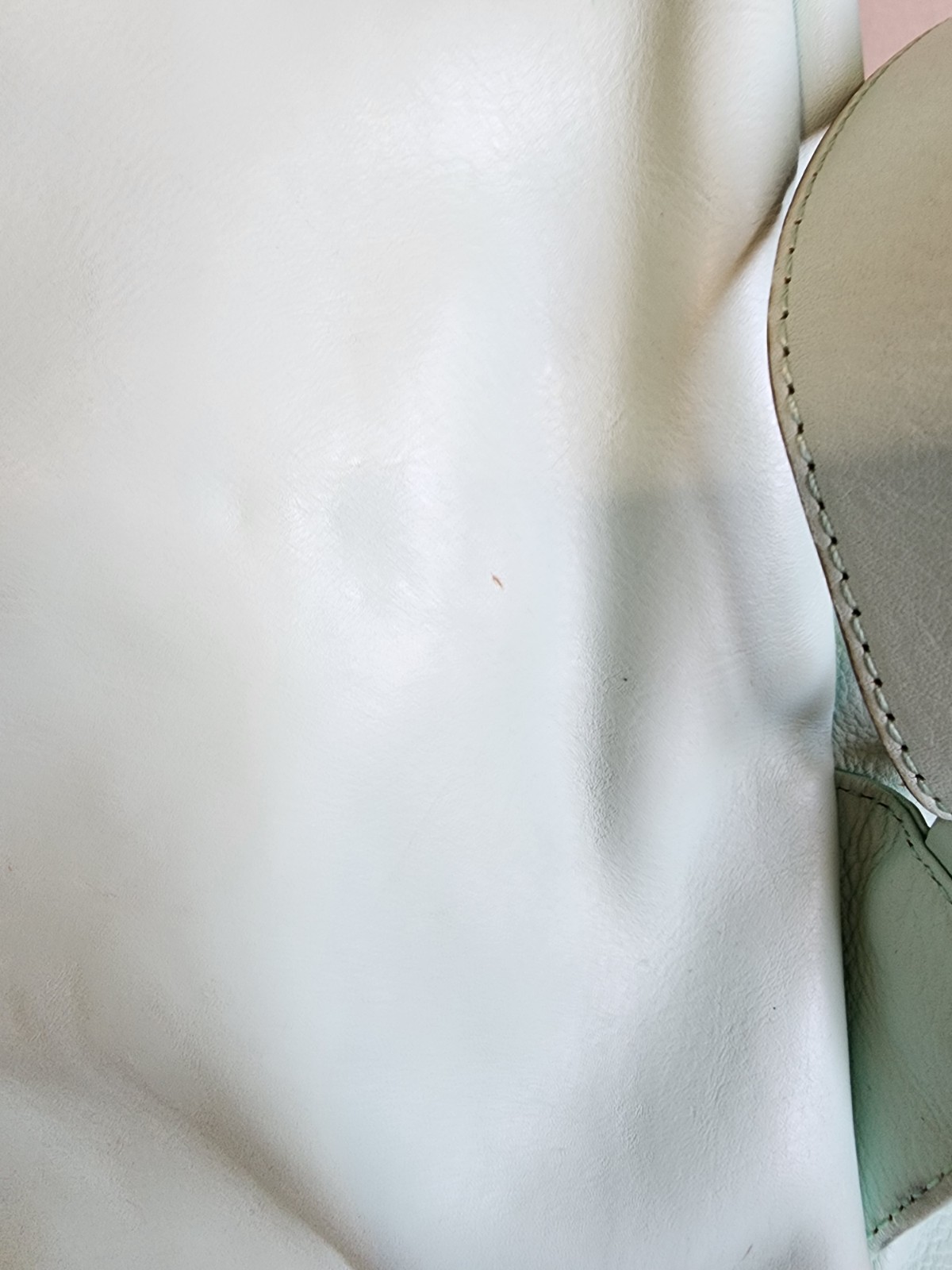 Rebecca Minkoff Julian Backpack in Mint Smooth Leather