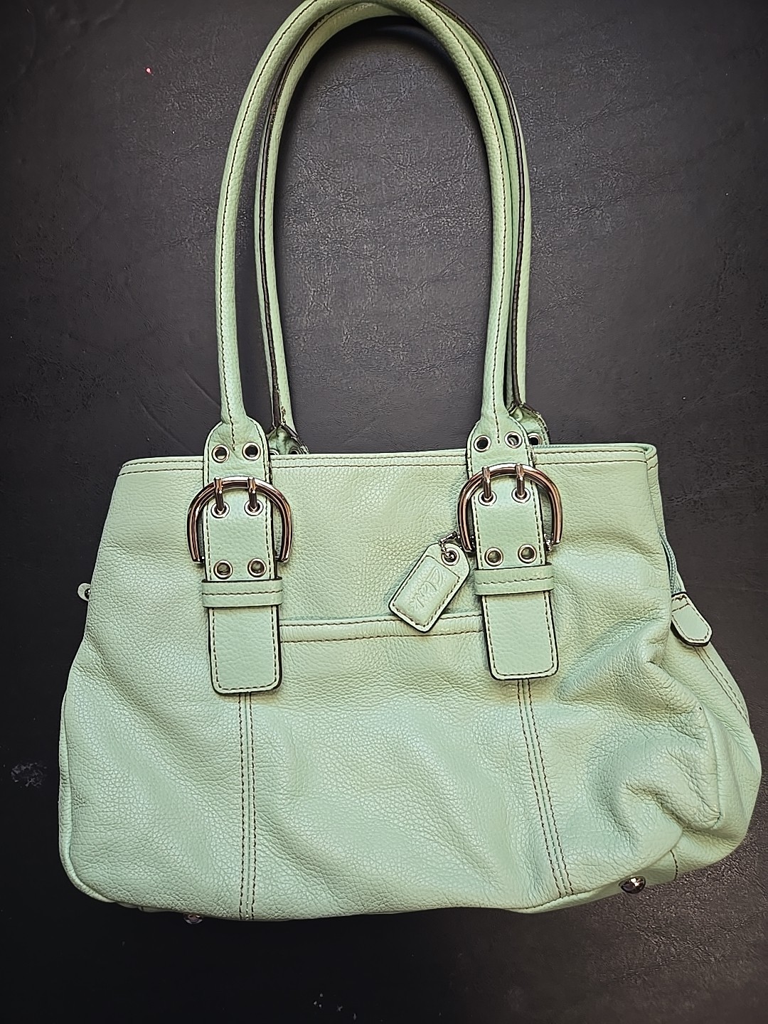 Clarks Mint Green Double Shoulder Strap Leather Bag
