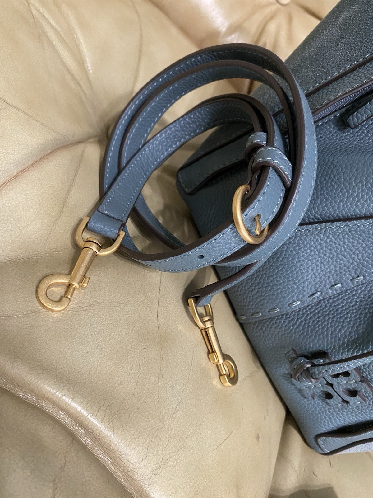 Tory Burch Dragonfly Leather Crossbody Bag Drawstring Suede McGraw Arctic Blue