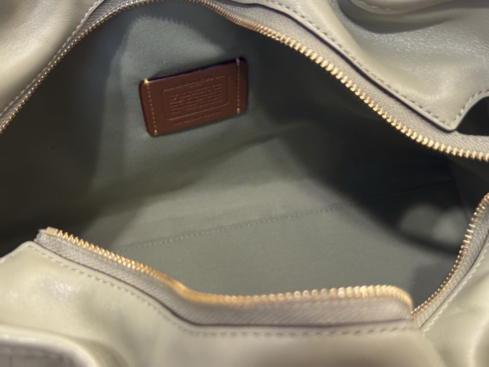 Coach CDR00 Evelyn Shoulder Bag With Quilting In Leather/Gold/Pistachio NWT
