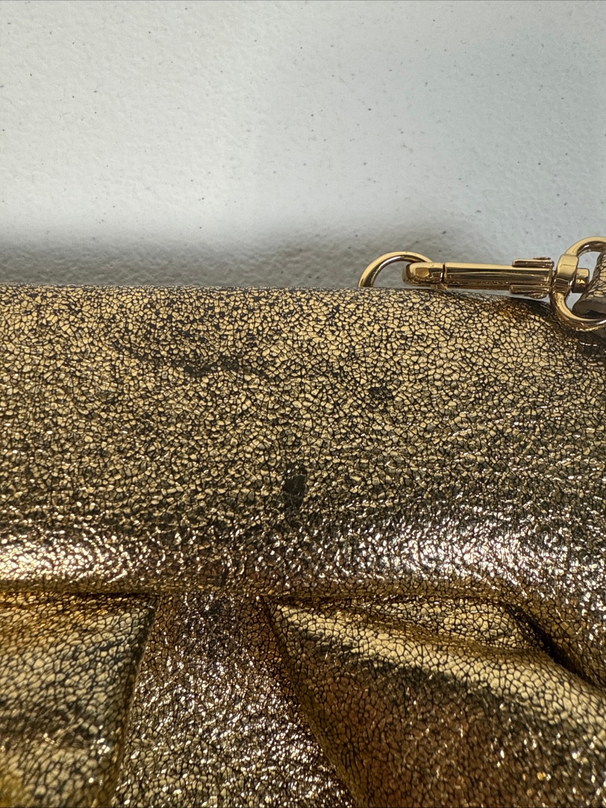 THEMOIRè Tia Laminated Bag