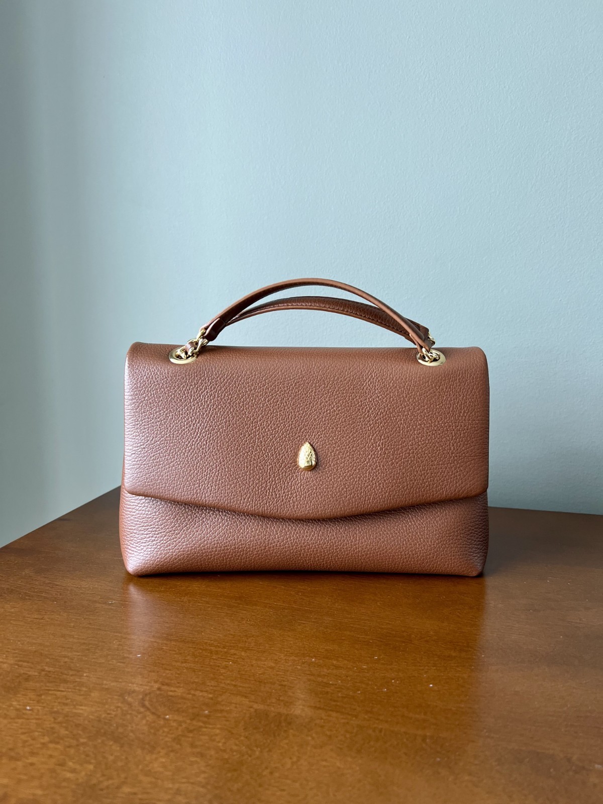 Menière Paris Archiduchesse Brown Leather Medium Crossbody Shoulder Bag (EUC)