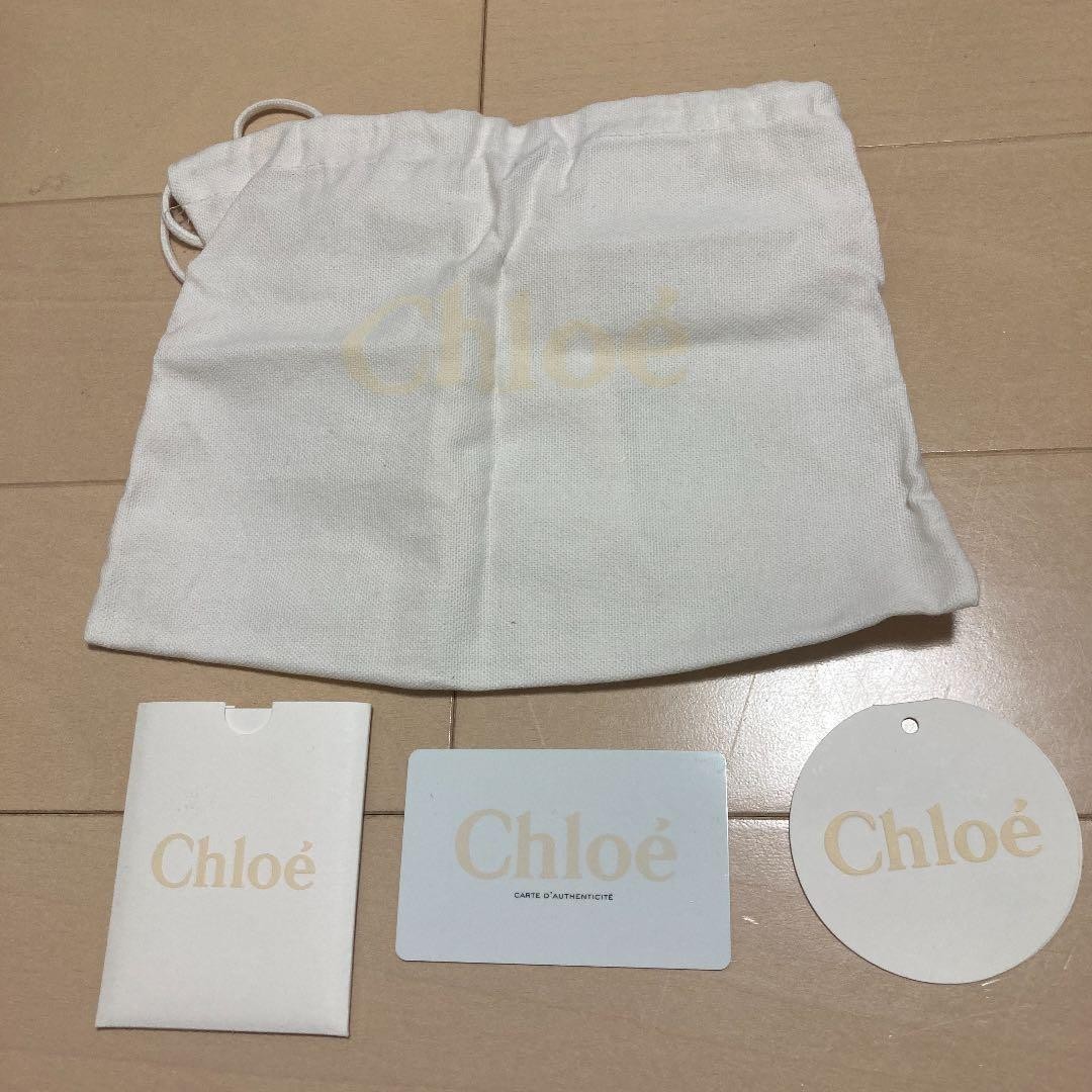 Chloe Mini Shoulder Chain Bag Black Leather 120cm Chain 11x13x6 cm Classic Style