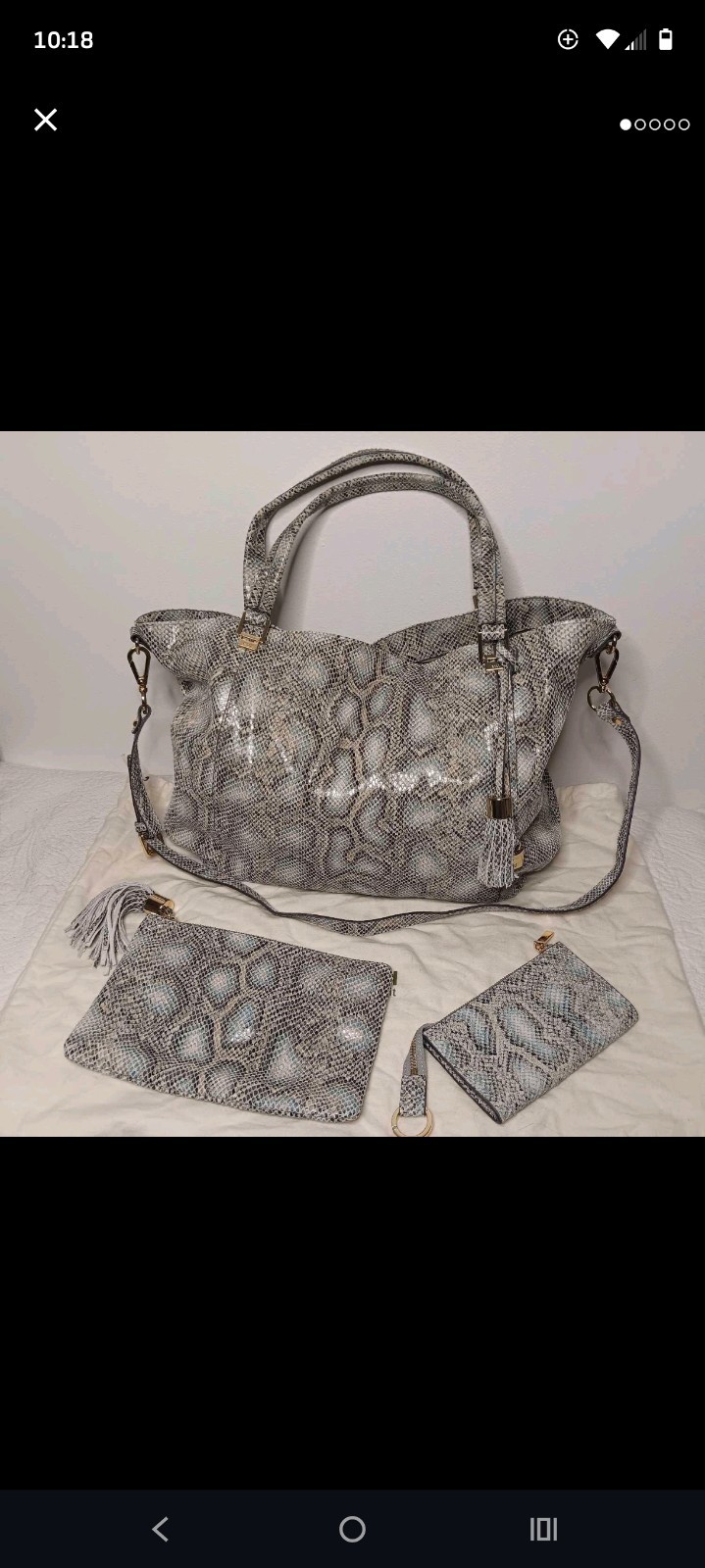 G.i.l.i. Roma 4 Blue Python HUGE Tote- Matching Pouch And Wallet