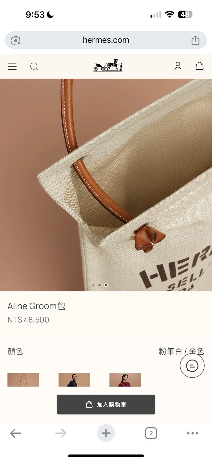 Hermes Aline Grooming Bag Herringbone Canvas with Pall