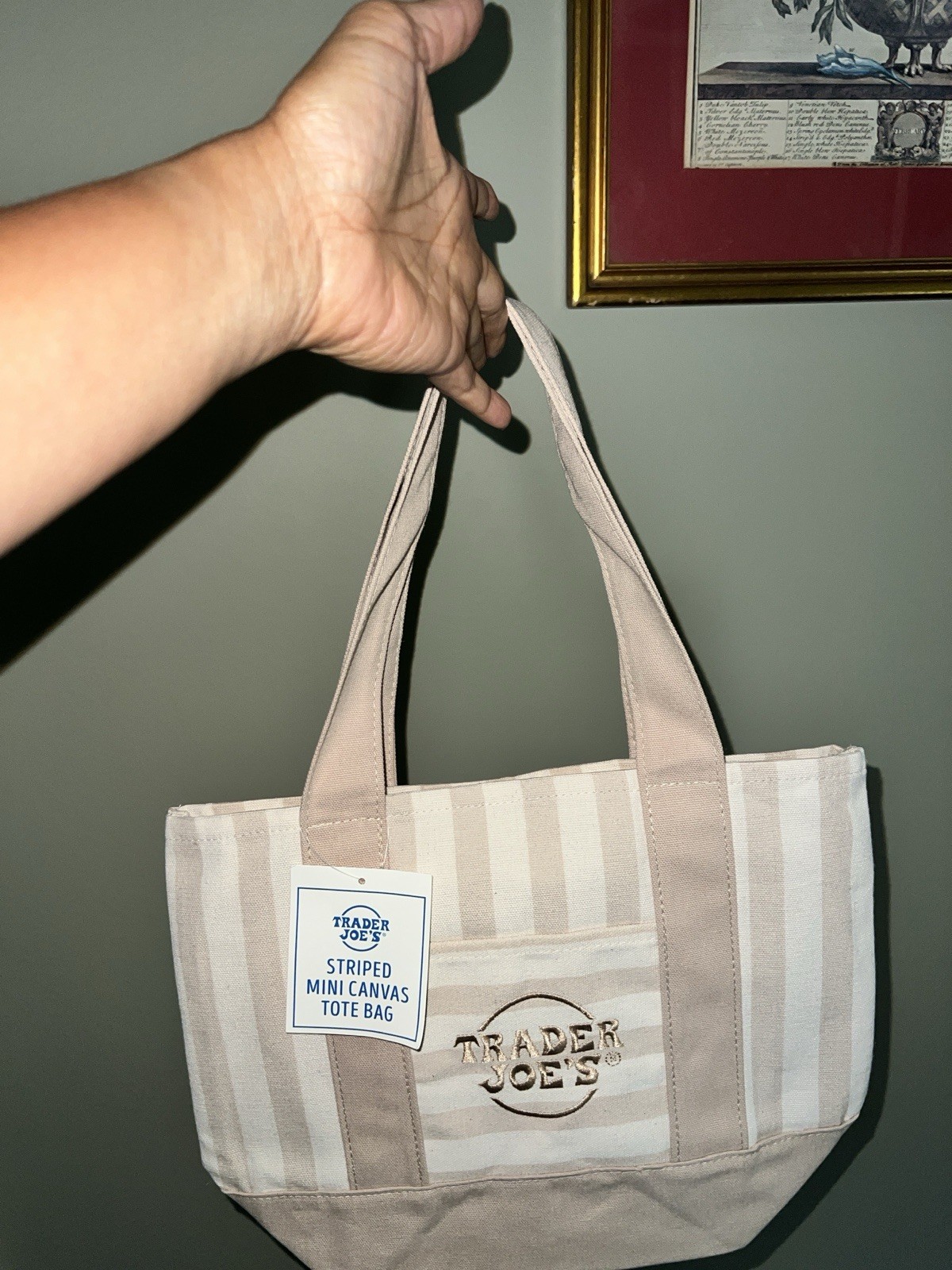 Trader Joes Striped Mini Tote Beige Custom Pompurin Painted / Embroidered
