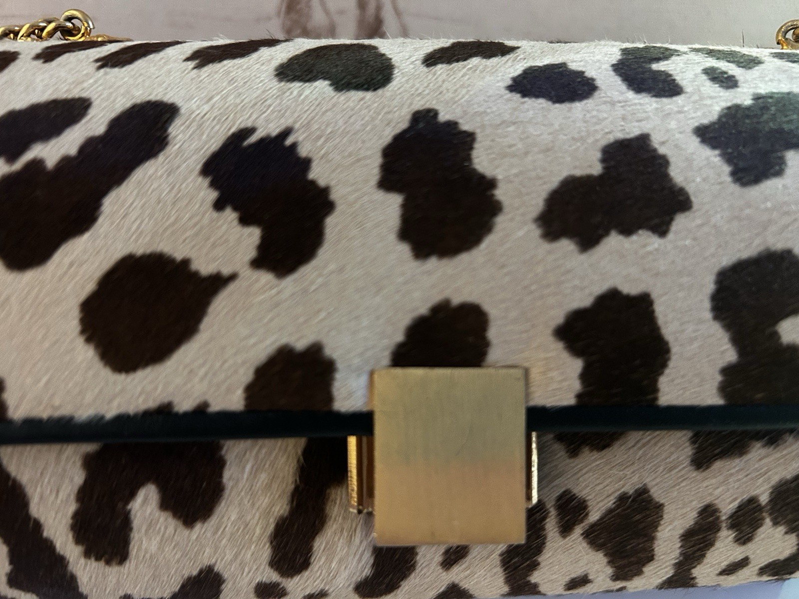 Leopard Print Small Women’s Crossbody Bag Detachable Gold Chain Turn Lock