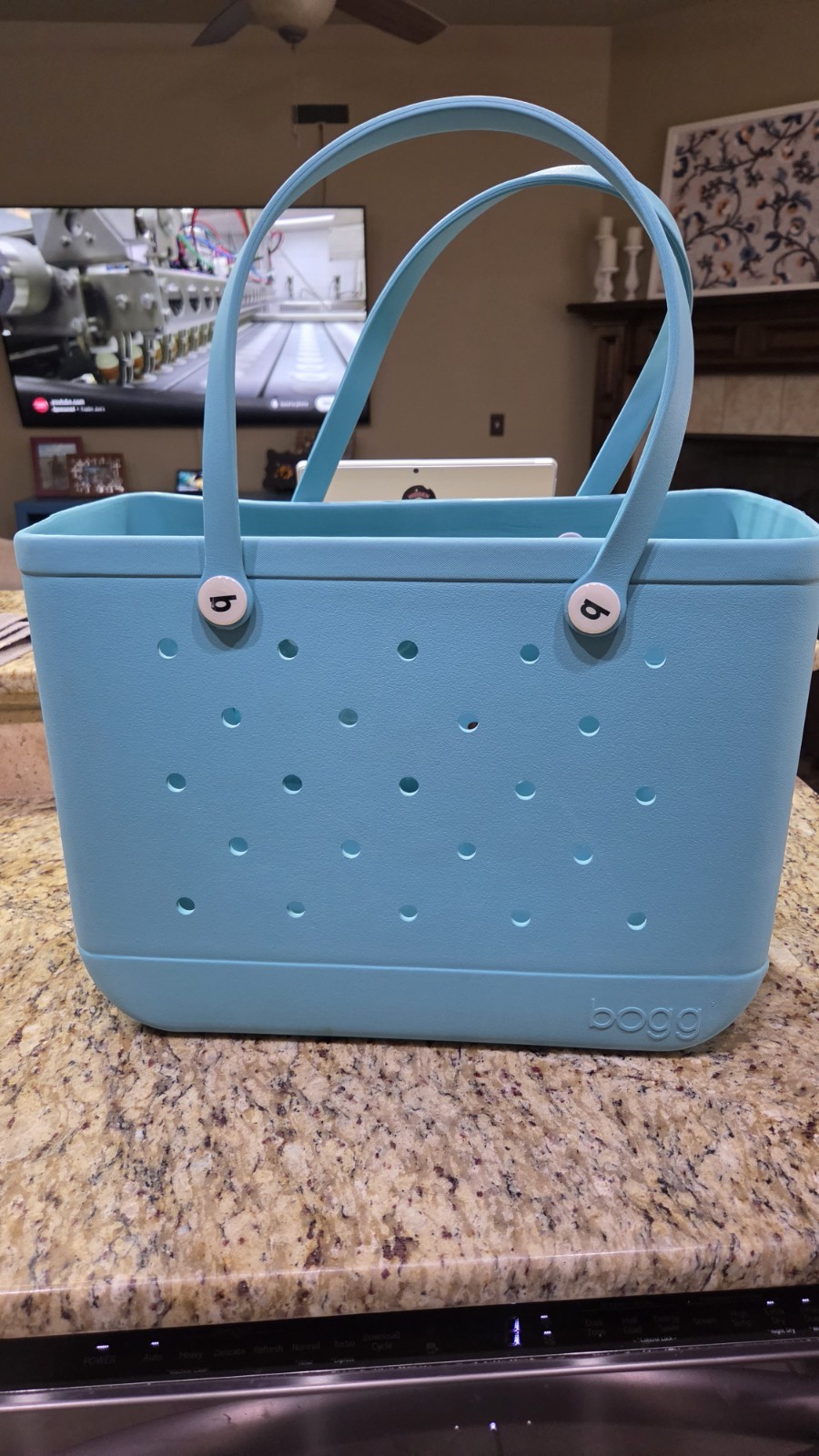 BOGG Bag XL Teal with 1 pouch. Nice Condition