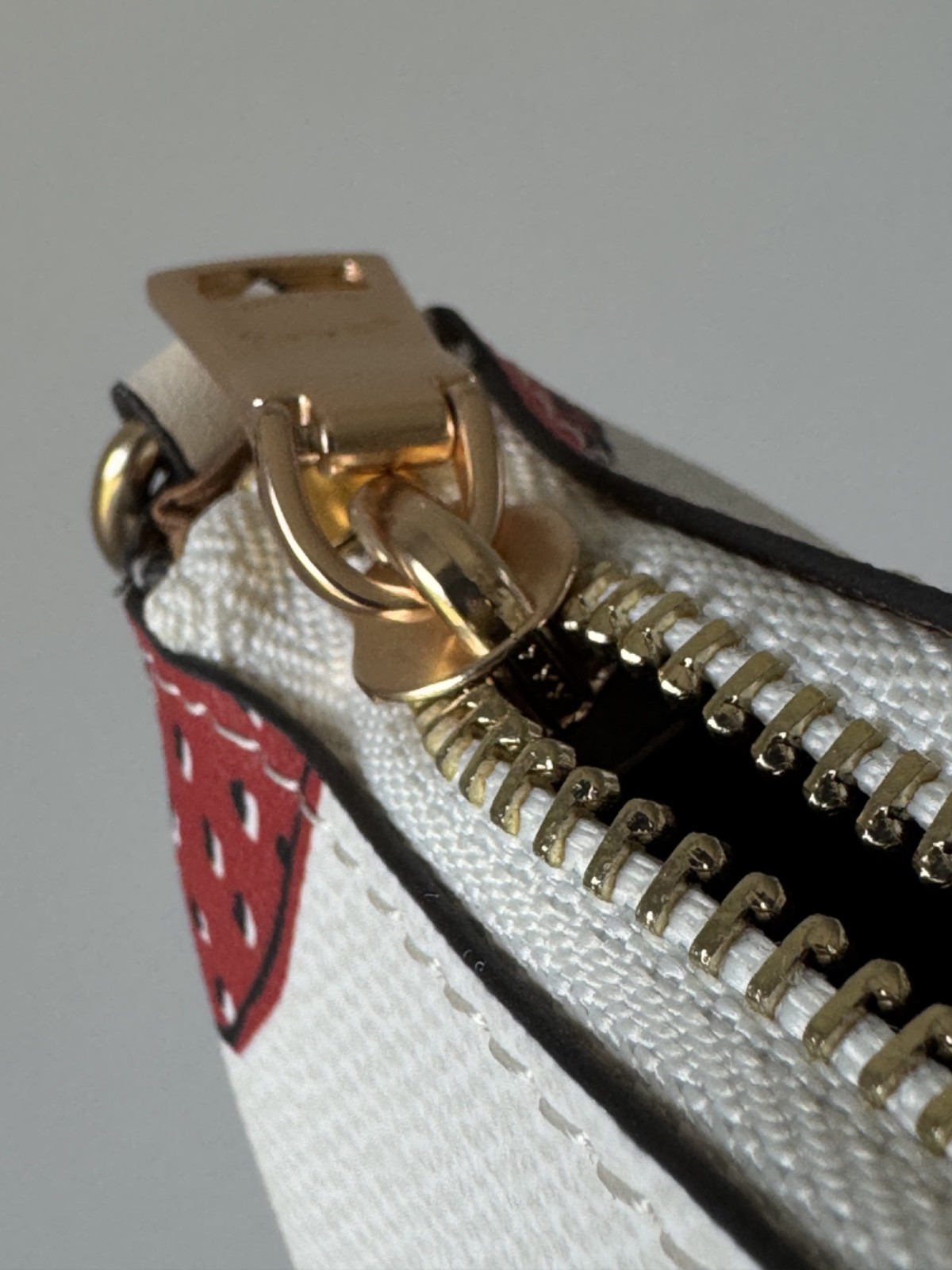 Coach Teri Shoulder Bag With Strawberry Print Chalk Multi Canvas CAL62