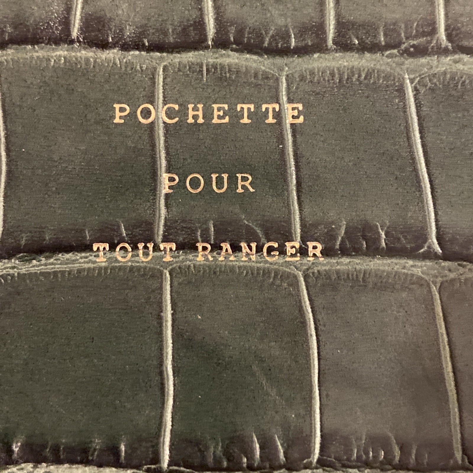 & Other Stories Paris Atelier Leather Croc Embossed Clutch Flat Pouch Bag