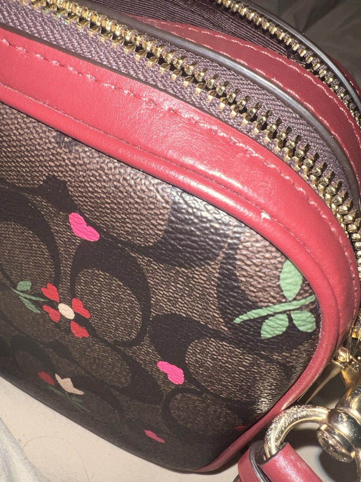 COACH Jes Crossbody in Signature Canvas with Heart Petal Print C7617 Brown Multi