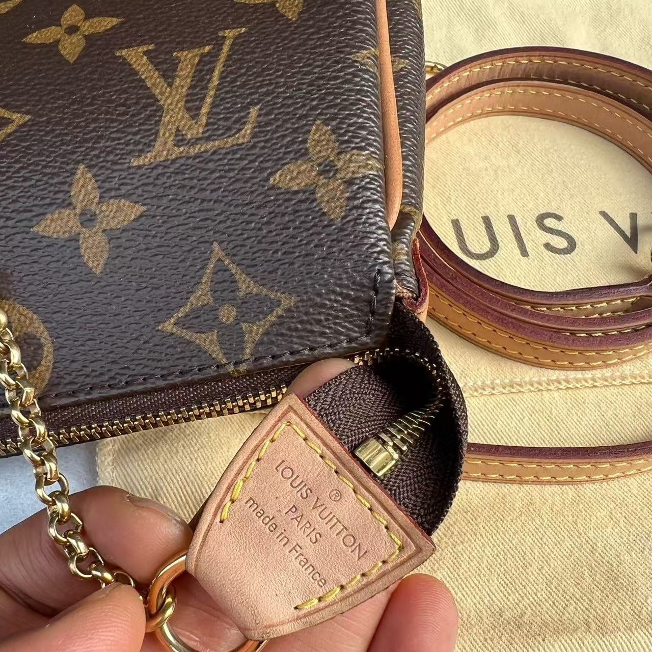 Louis Vuitton LV Pochette Eva Brown Regular Monogram Crossbody Bag