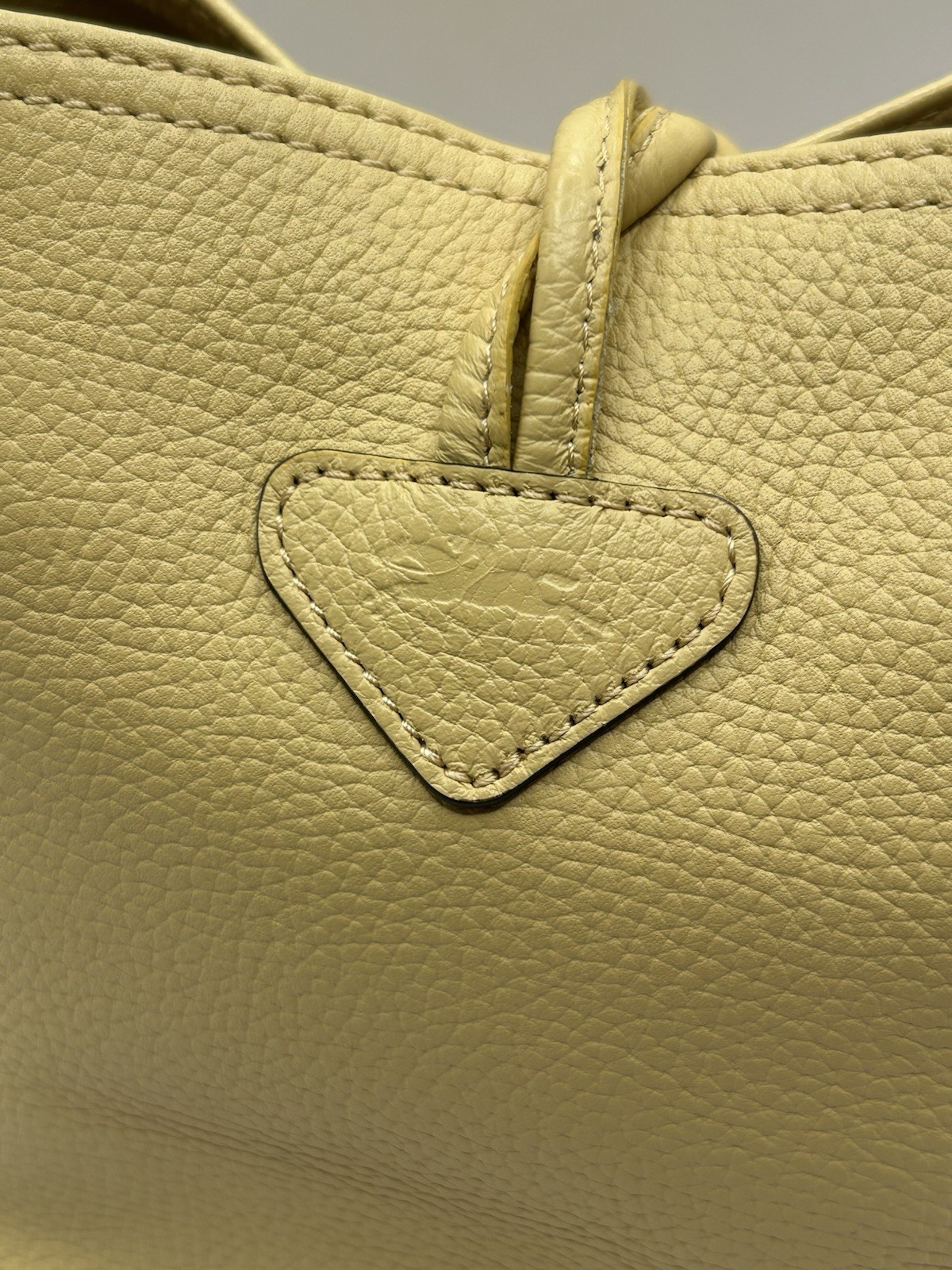 Longchamp Le Roseau Bucket BaDrawstring Bag Pistachio full inclusion