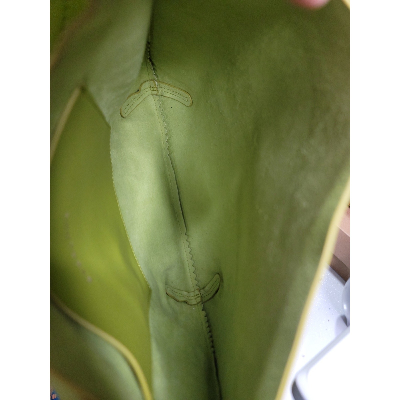 Everlane The Studio Bag Italian Leather Hobo Shoulder Moss Green Olive