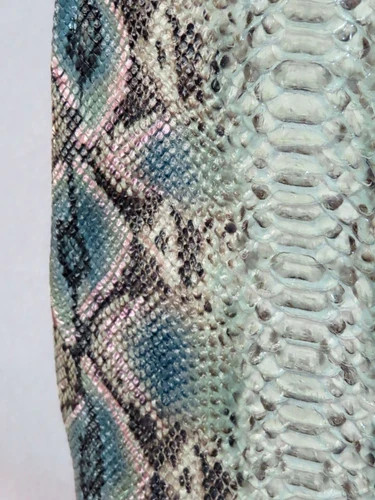 BRAHMIN Glowing HAVEN ROXANNE BLUE/PINK/GREEN NEON SNAKE MOLLY and WALLET NWT