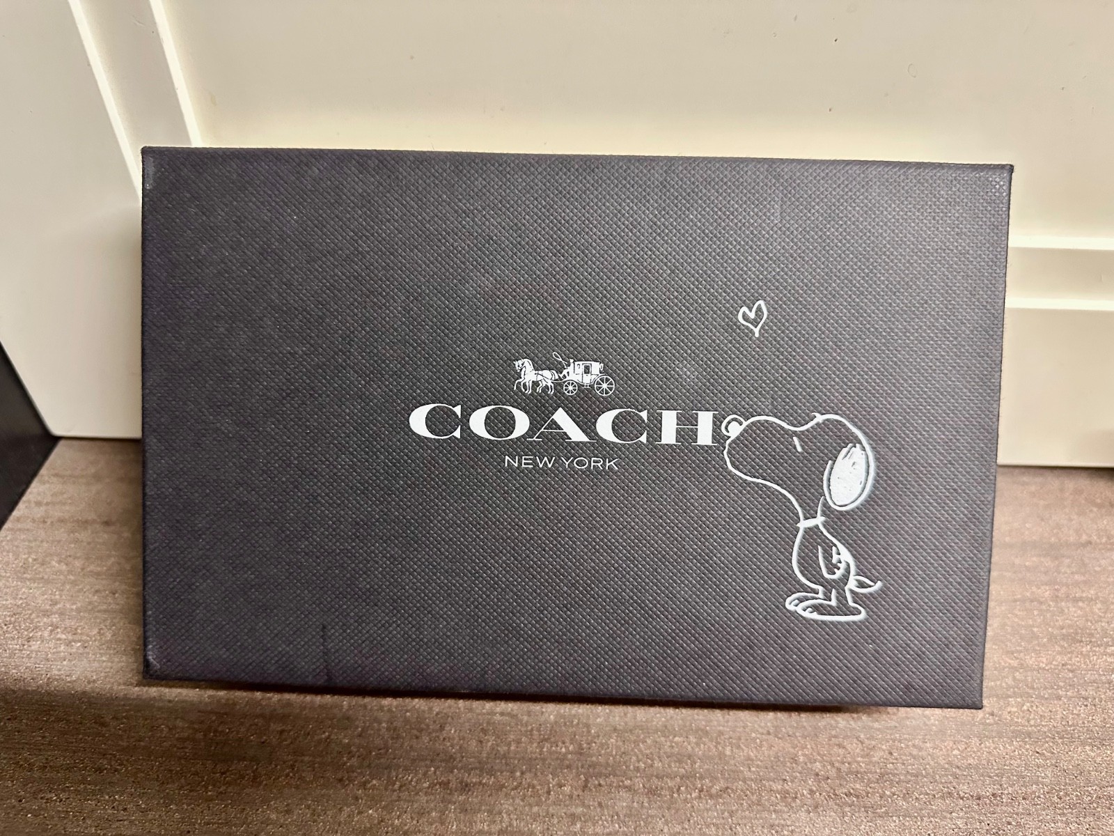 Coach x Peanuts Snoopy Wristlet Bag White – Authentic Brand NEW Woodstock
