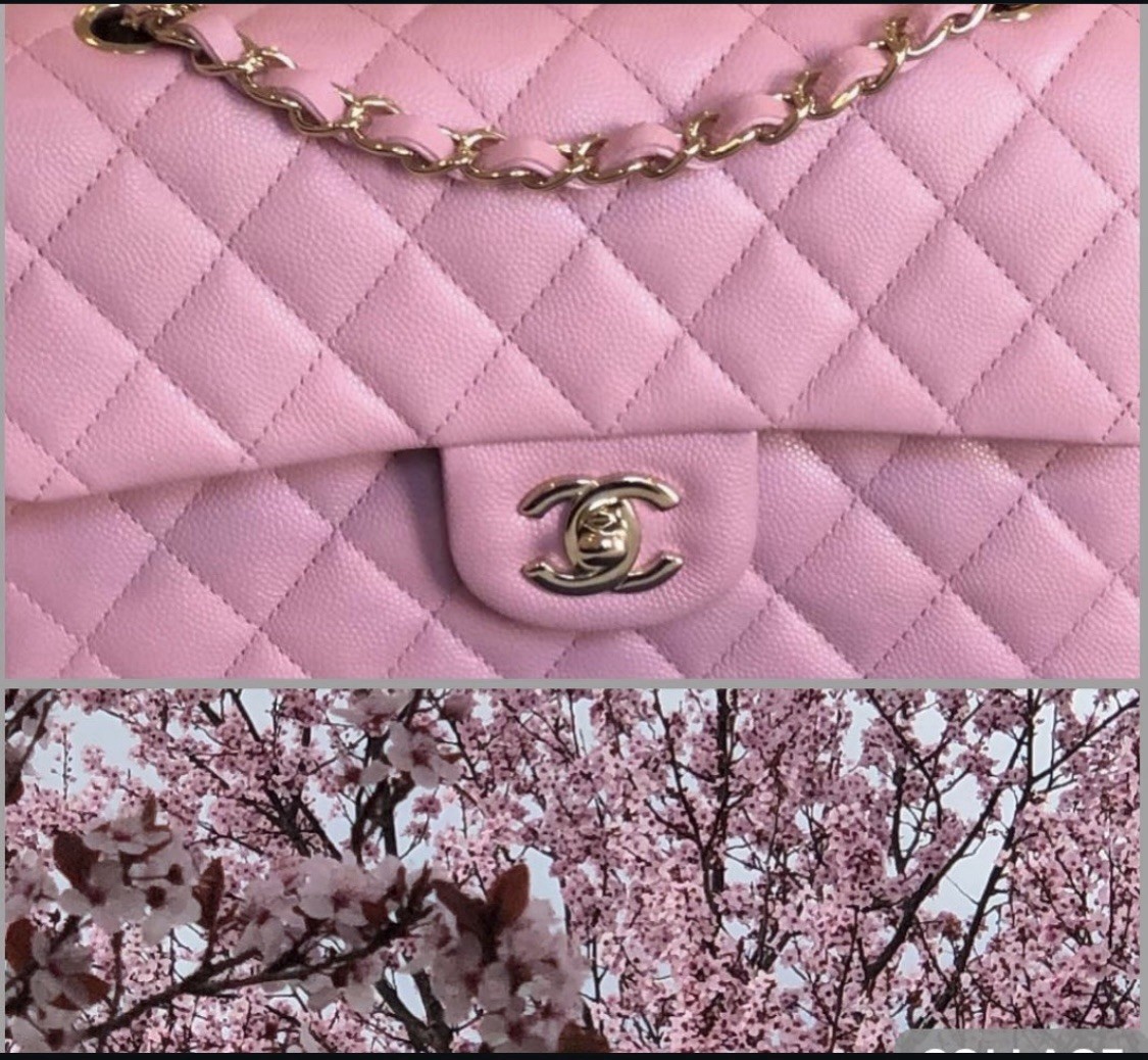CHANEL Small Classic Double Flap Bag Sakura Pink Caviar w/ light gold Hw
