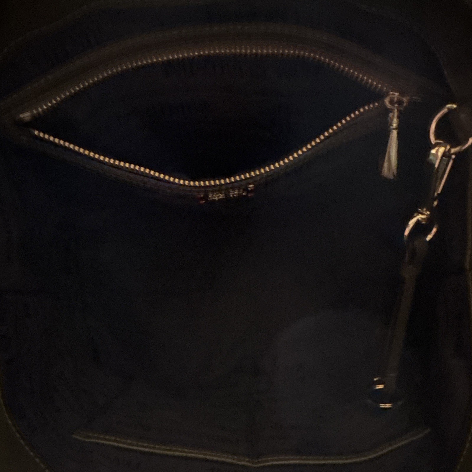 Frances Valentine Green Patent Tote Bag Gold Hardware Logo Bag Charm Magnetic
