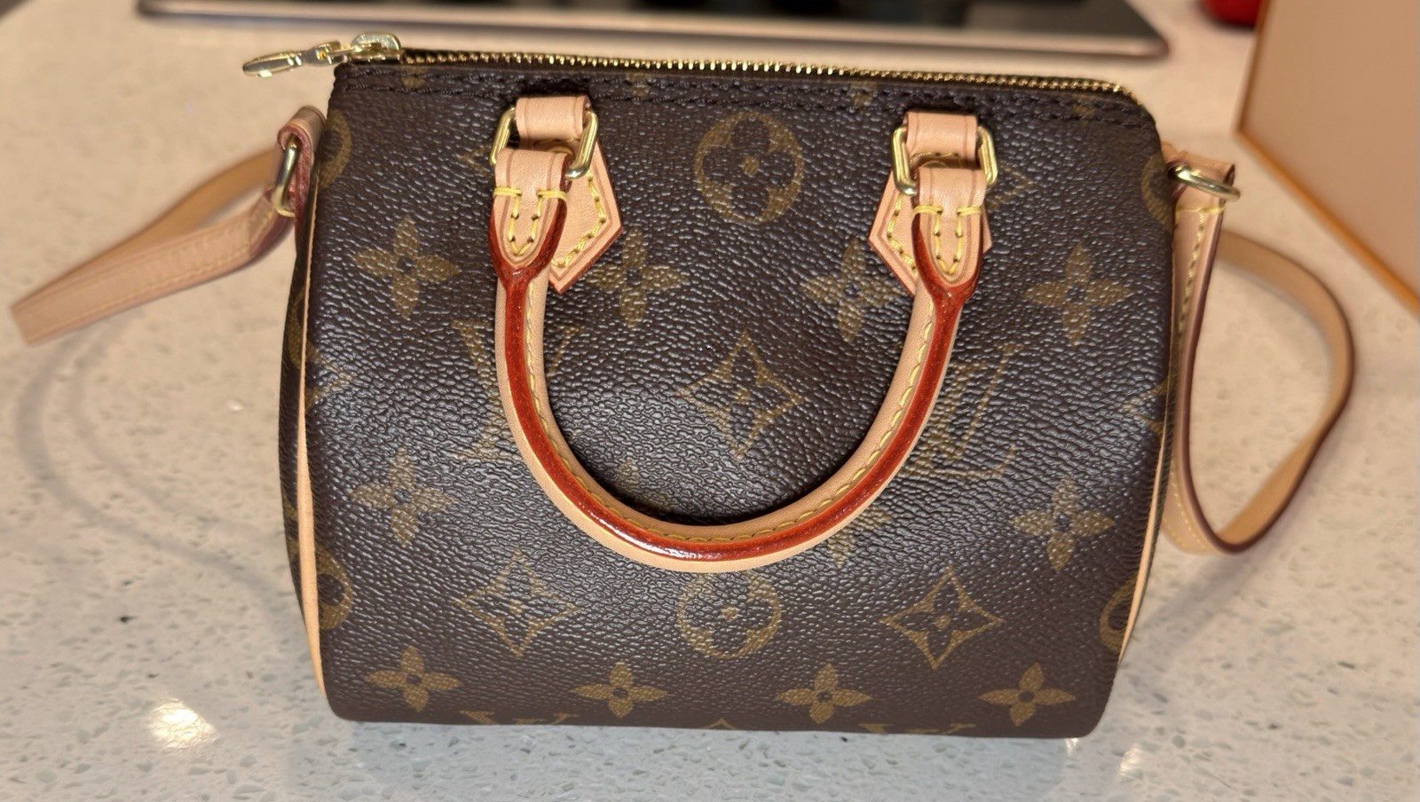 Louis Vuitton Monogram Nano Speedy 1.0 Fixed Strap Pristine Condition