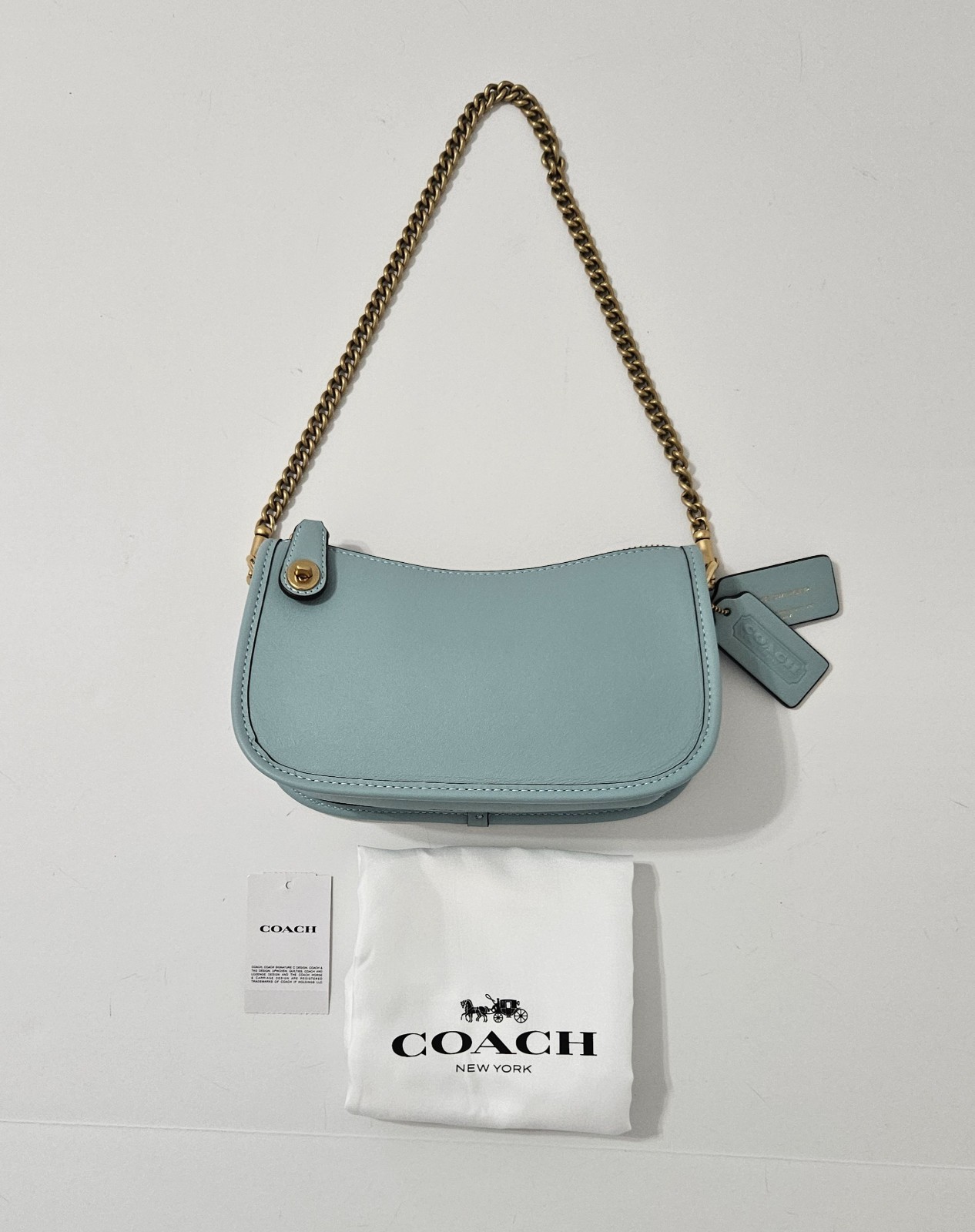 COACH Swinger Bag 20 with Chain