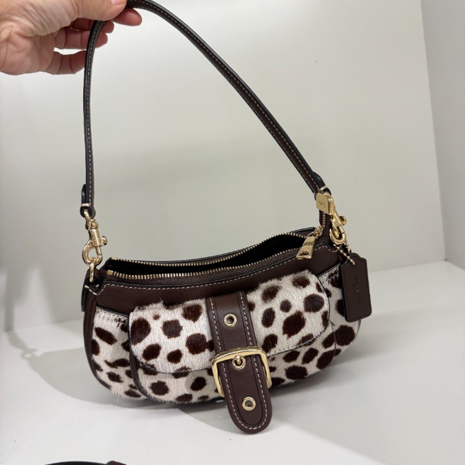 NEW‼️Coach Ashton Mini Shoulder Bag In Haircalf CEN10 Dark Brown Chalk