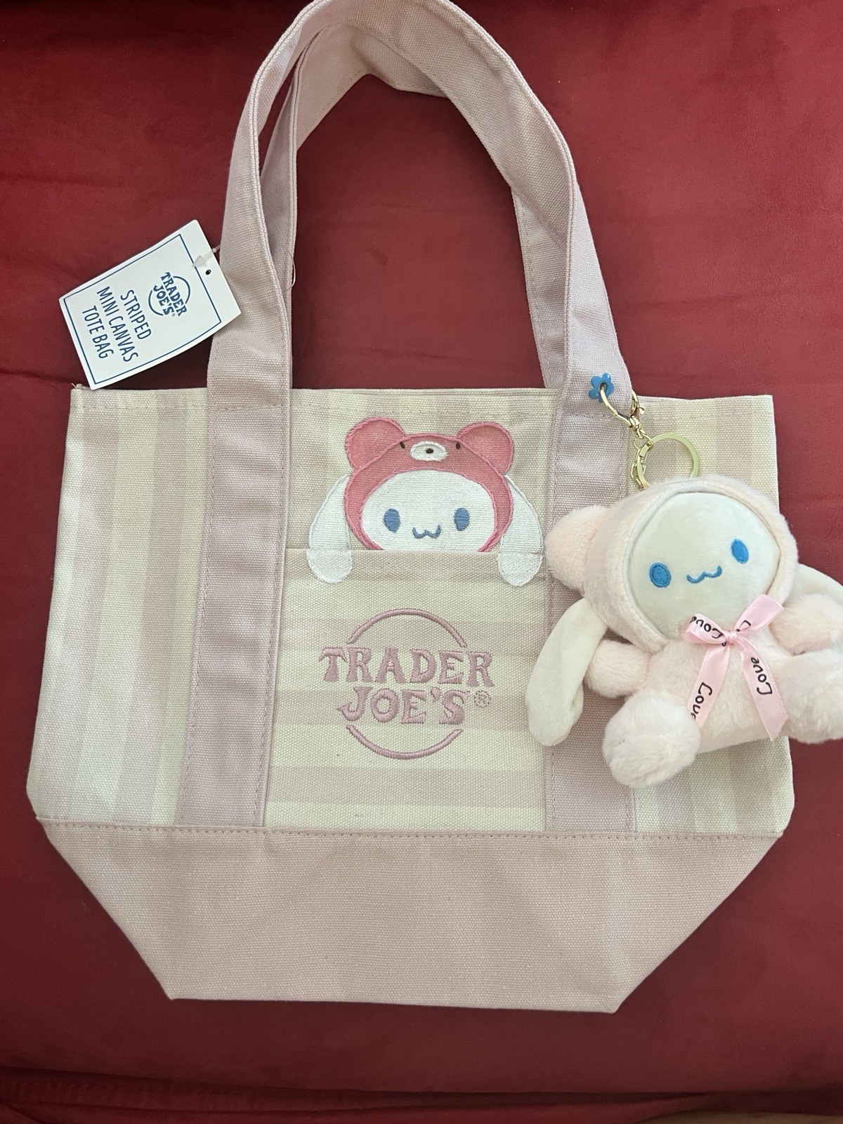 VIRAL trader joes striped Pink w/ Hand Painted & Embroidered Cinnamoroll