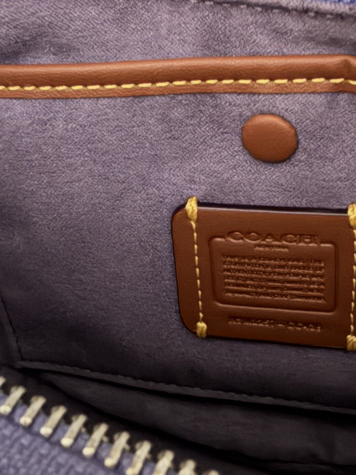 NWT Coach LUNA Shoulder Bag LIGHT VIOLET Soft Pebbled Leather Silver see details