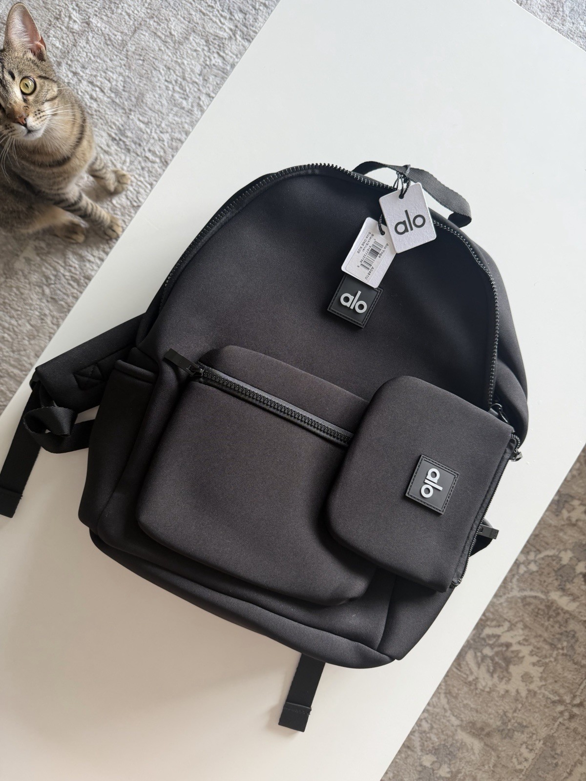 Original Alo Yoga Stow Backpack Black Neoprene with Detachable Pouch Women Men