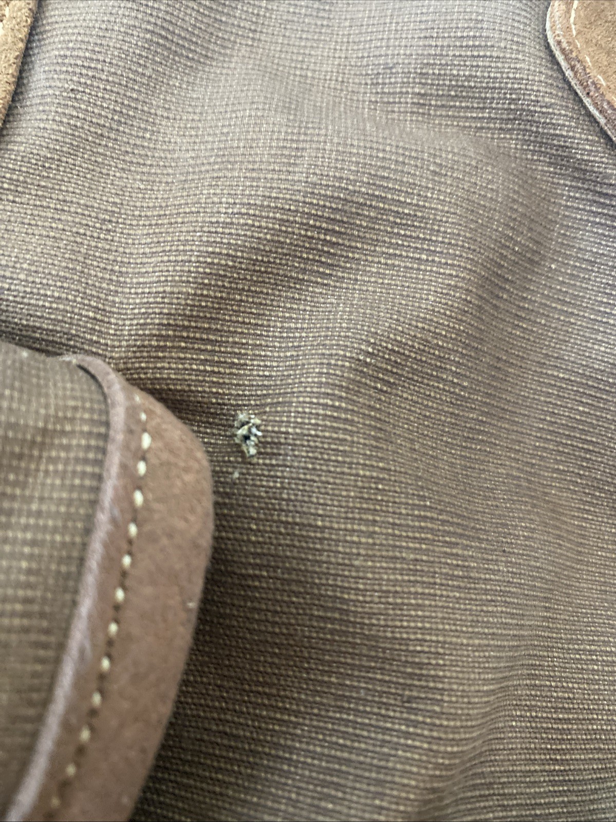 TSD The Same Direction Brand Dolphin Studded Canvas Leather in Coffee Tote Bag