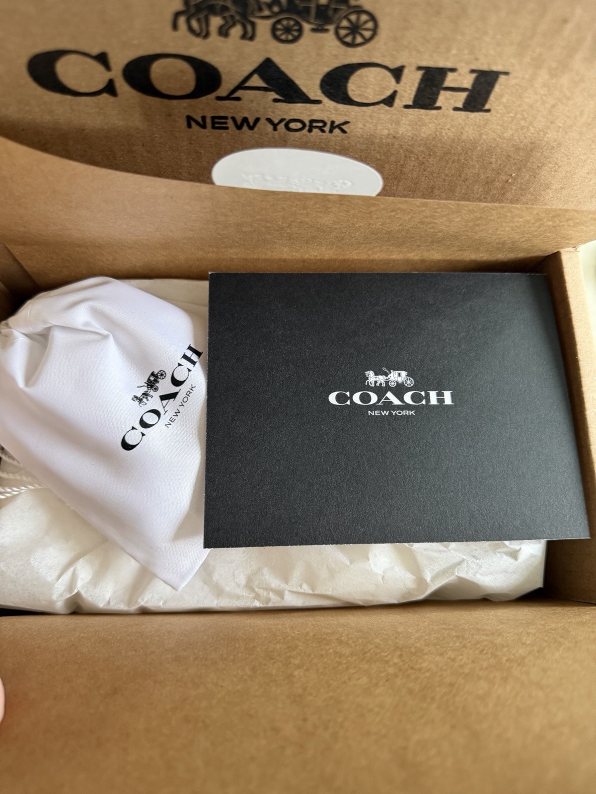 NWT COACH RUNWAY LIMITED EDITION NUAGE SUEDE TRIANGLE KISSLOCK POUCH CFB90