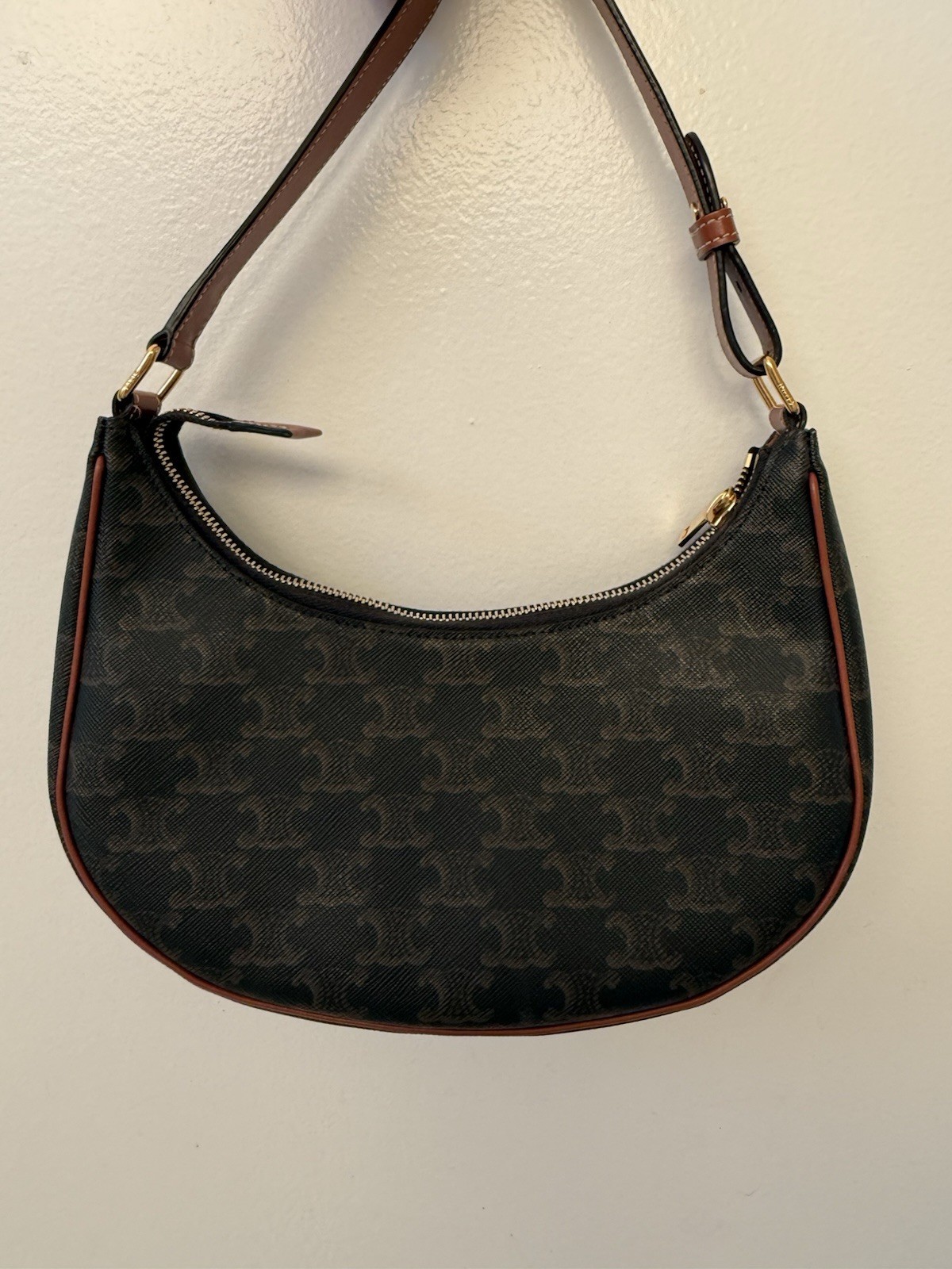 Celine Ava Bag In Triomphe Canvas