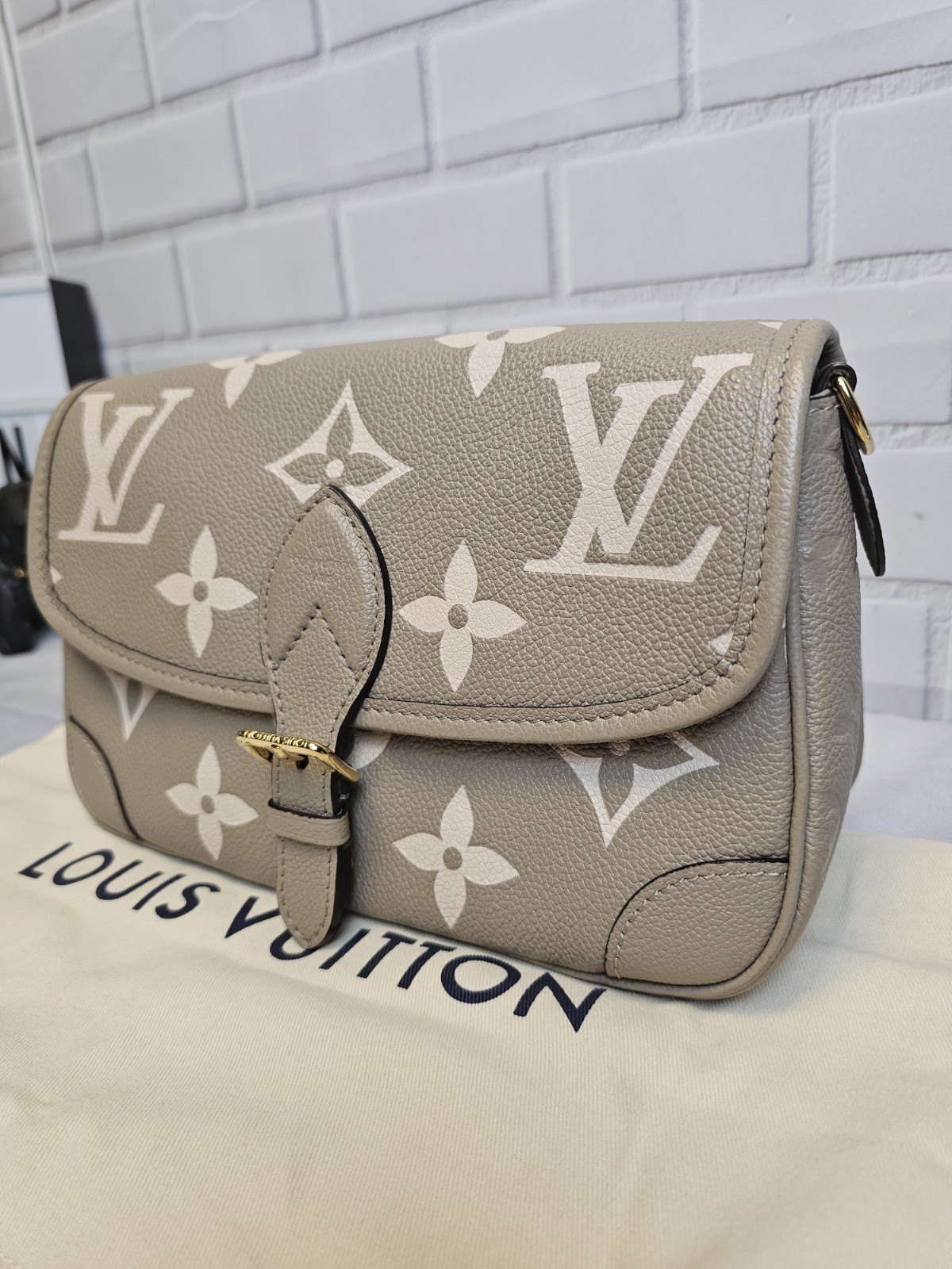 Louis Vuitton Monogram Empreinte Bicolor Turtledove Diane Set