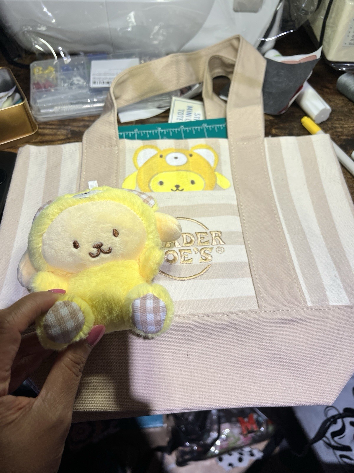 Trader Joes Striped Mini Tote Beige Custom Pompurin Painted / Embroidered
