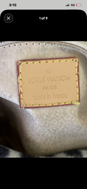 dalmatian louis vuitton bag