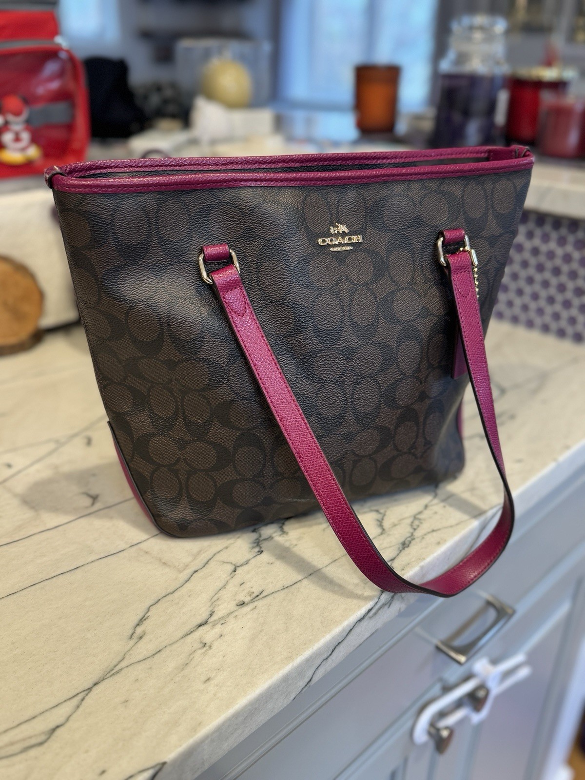 Coach F34603 Brown & Fuchsia Signature Tote Bag