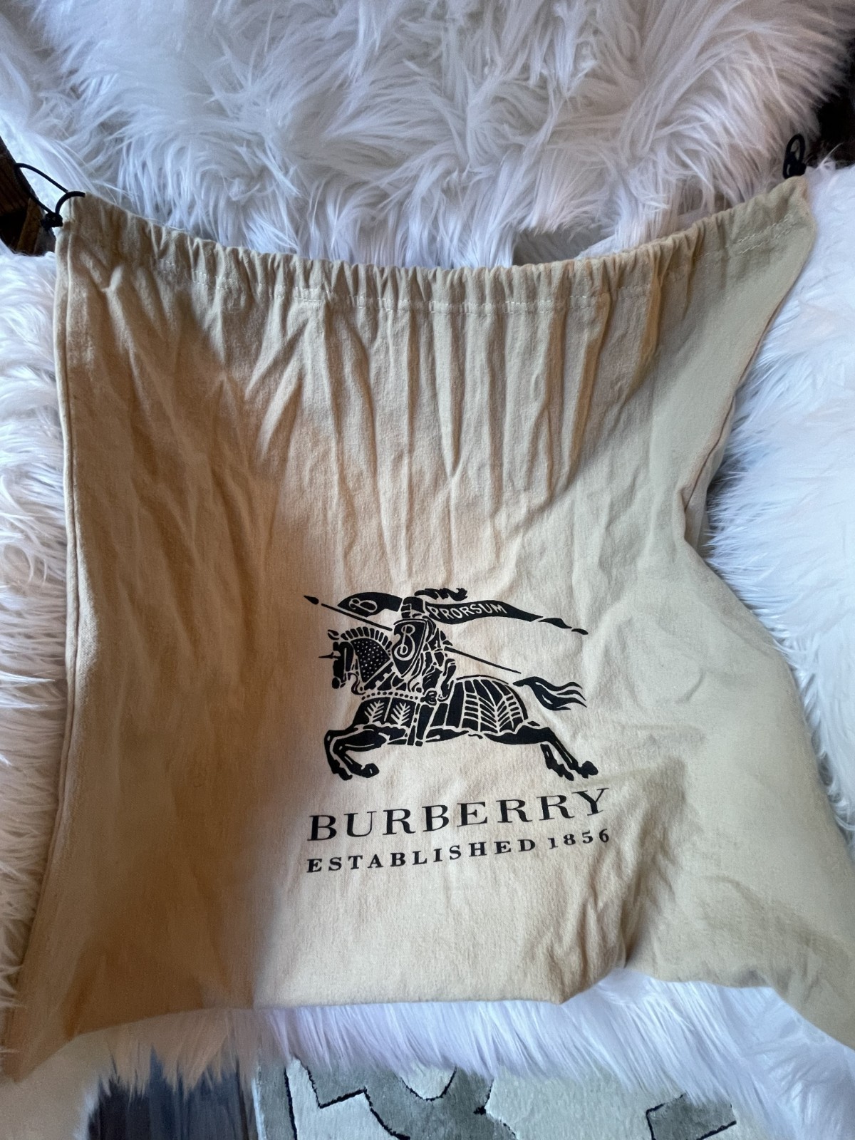 Burberry Nova Check backpack Authentic luxury handbags womens designer bags