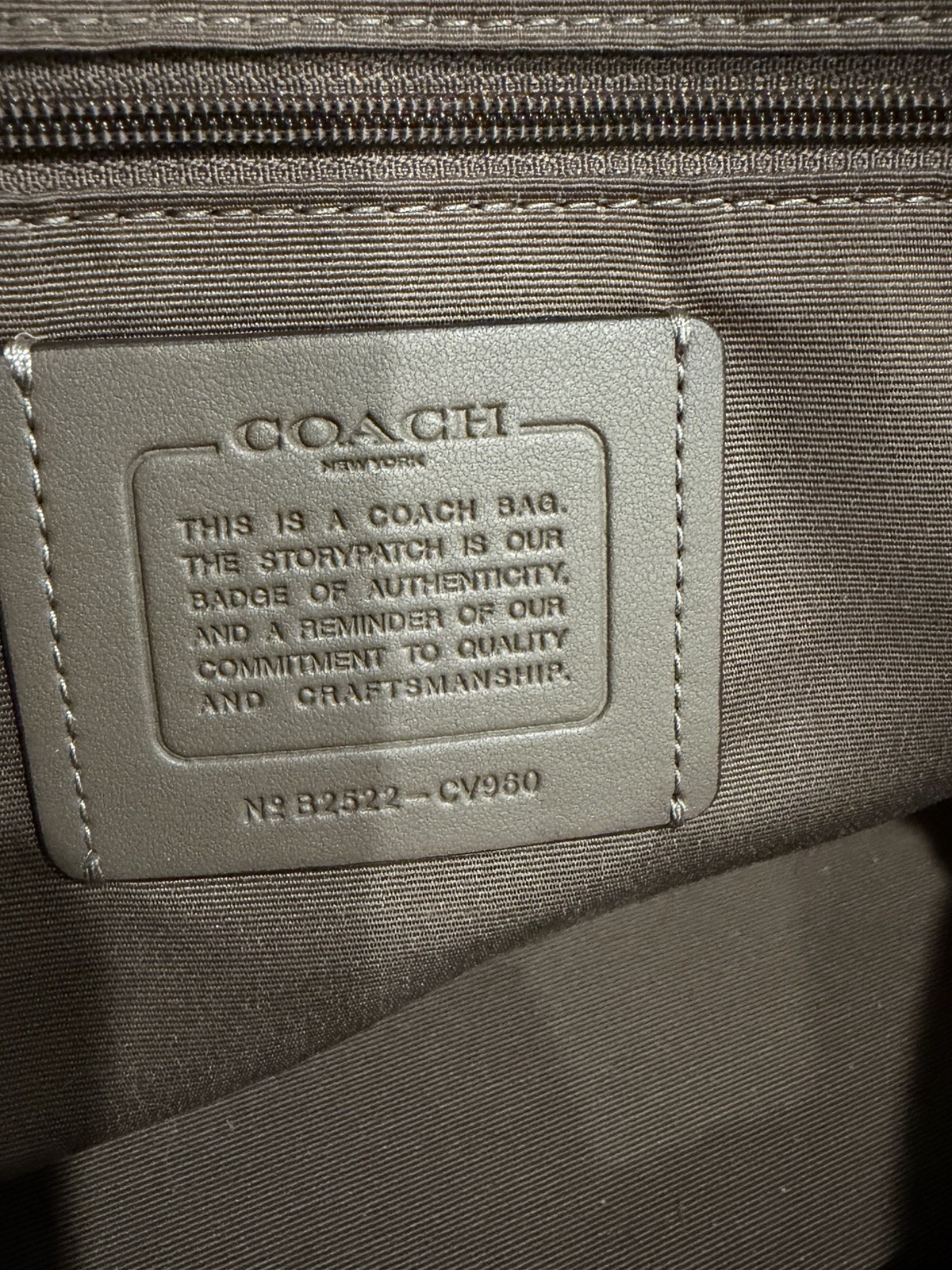 Coach Stone Large Pebbled Rowan w/ Crossbody Strap