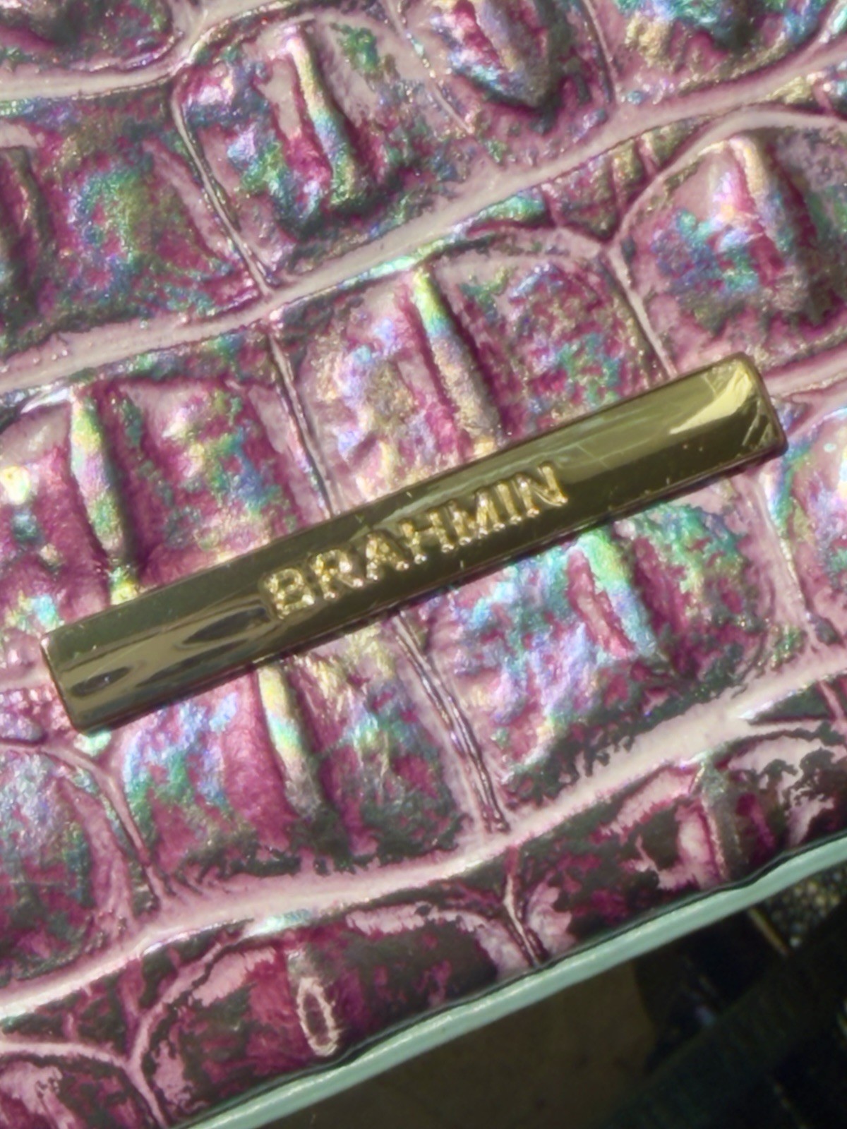 💜🩷🩵 Brahmin VISIONARY DELPHINE, Highly Iridescent Katie, EUC Fabulous!!
