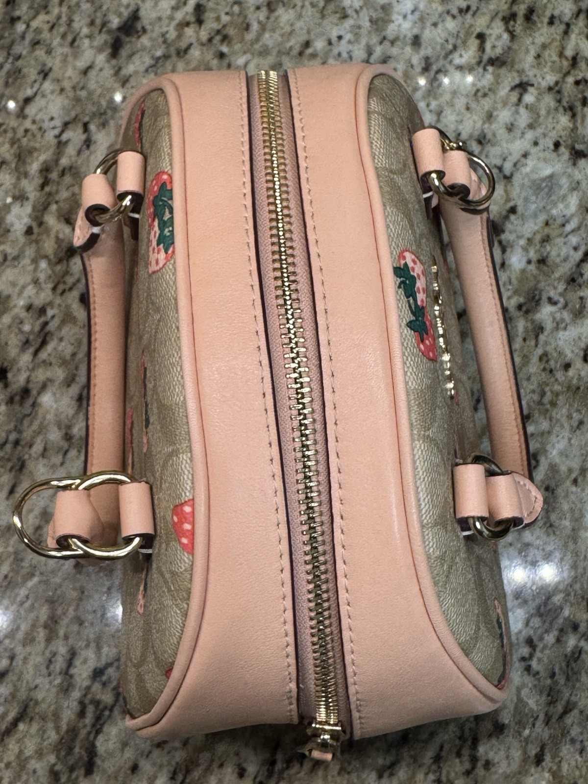 Coach Sydney Satchel In Signature Canvas With Strawberry Print CB596