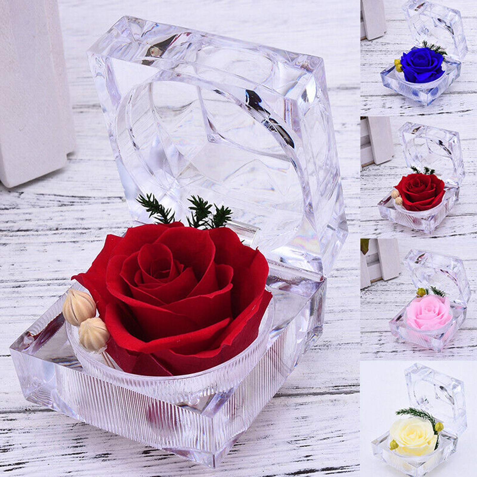 Eternal Preserved Real Rose Flower Acrylic Crystal Box Valentine’s Day Gift US