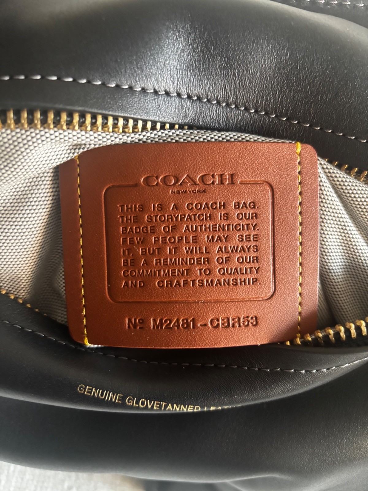 Coach Dino Kisslock Purse (Authentic) (Used)