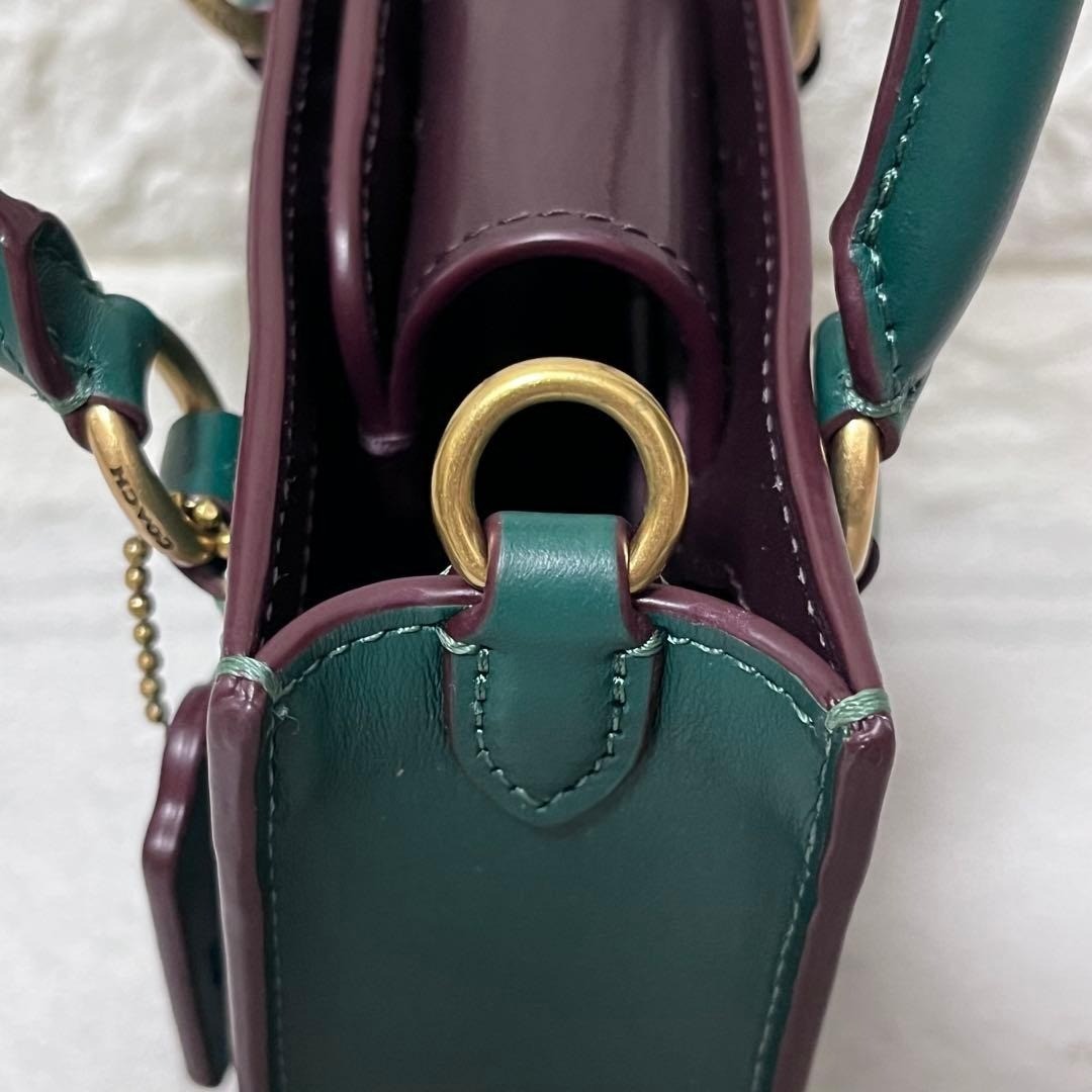 Coach Disney Mickey Minnie North South Mini Tote Crossbody Shoulder Bag CN021