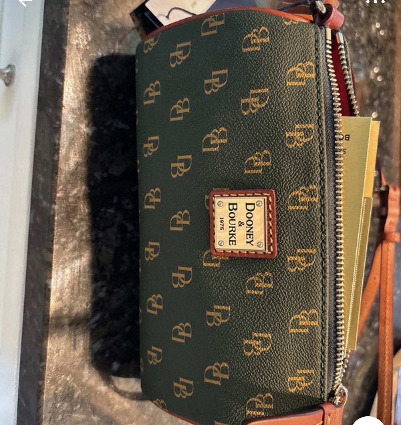 NWT Dooney & Bourke Ivy Monogram Buffy Crossbody Bag Green BGRTA2344IVTN